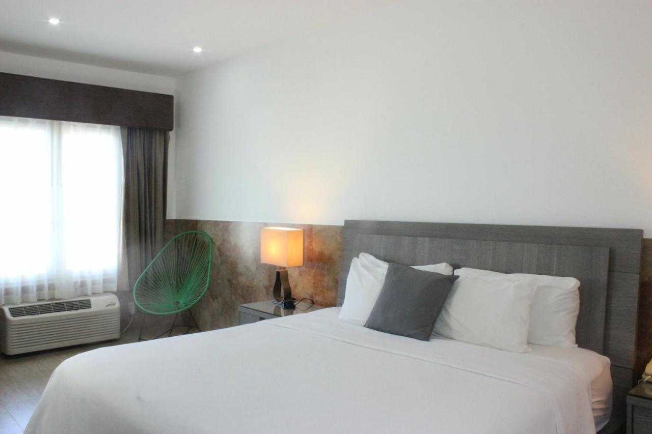 Beverly Hills: Hotel And Business Nuevo Cuscatlan Εξωτερικό φωτογραφία
